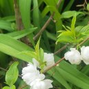 구름이 머무는 곳2 이미지