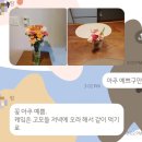 아틀리에피아프 이미지