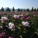 새하크리닝 이미지