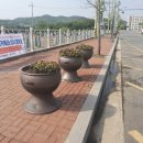 기곡2리 이미지