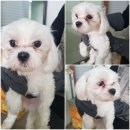 숙성시장길 이미지