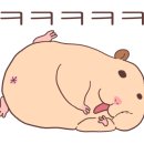 넘버25 신도림점 이미지