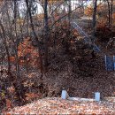 박세영선생묘 및 신도비 이미지