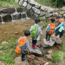 숲어린이집 이미지