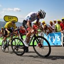 달리삭스 이미지