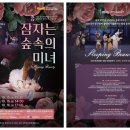 동화발레 잠자는 숲속의 미녀(서울시티발레단) 이미지