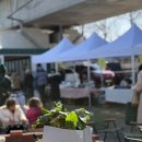 오카리나 | 양평 아이랑 가볼만한 곳, 두물뭍농부시장 3월 후기 (어린이 책방·체험·오카리나 공연)