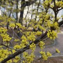 리치(단지내)공인중개사사무소 이미지