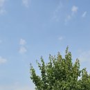 덕성여자중학교 이미지