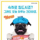 위드 아이스크림 이미지