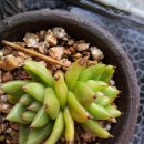 동운농장 이미지