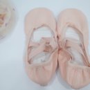 엘리나발레스튜디오학원 이미지