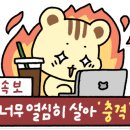 에이치비씨 이미지