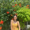 로지(ROZY) 이미지