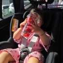 진도체리원 이미지