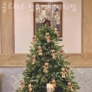청주 복대동 맛집 클로리스 청주지웰시티점 메뉴추천 영업시간 방문자 후기 찐 리뷰
