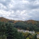 세명농장 이미지