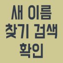 새이름 이미지