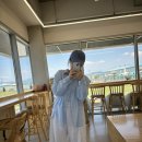 하이멍 애견카페 이미지