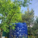 다옴 햇골 캠핑장 이미지