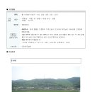 인안1리 Daum카페