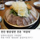 한들제분 | 천안 평양냉면 맛집 :: <피양옥> 어복쟁반, 냉면 솔직 리뷰 !