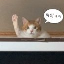 동원성 이미지