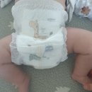 써본 내돈내산 팬티 기저귀 비교(킨도, 로맘스, 쿠잉, 모모래빗, 나비잠, 페넬로페, 팸퍼스, 하기스)