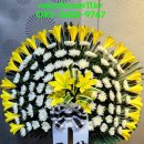 엠지새마을금고장례식장