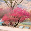 향기다이어트힐링센타 이미지