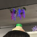 새 살이 돋아났던 8월