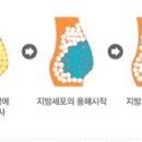 연세주피부과의원 이미지