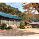 향천사