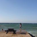 풍차 화장실 이미지