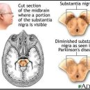 경희백세인한의원 이미지