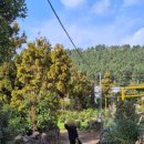 경미농장 이미지