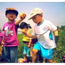 만석군농장 이미지