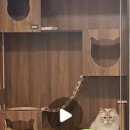 타이니멀_TINYMAL 이미지