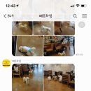 페로하임 이미지