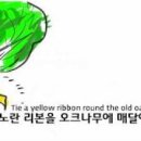 리본나무