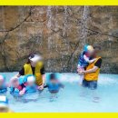 튼튼어린이집 이미지