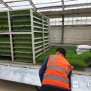 군산시농업기술센터 이미지