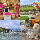 꿈속여행 | [공지] 중국 윈난 다리 꿈 속 같은 마을 여행 | 솽랑·씨저우