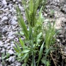 행복소아청소년과의원 이미지