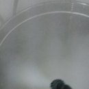 청소의황제