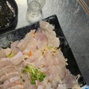 ​권선동 해물포차, 광어+우럭 세트에 소주 한 잔! 내돈내산 솔직후기
