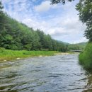 솔향기펜션민박 이미지