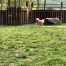 양평 주주송 독채펜션 이미지