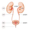 화성디에스병원 이미지
