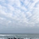 무유인(MUIN) 네이버블로그